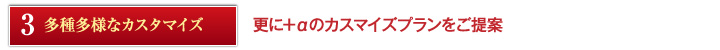 多種多様なカスタマイズ